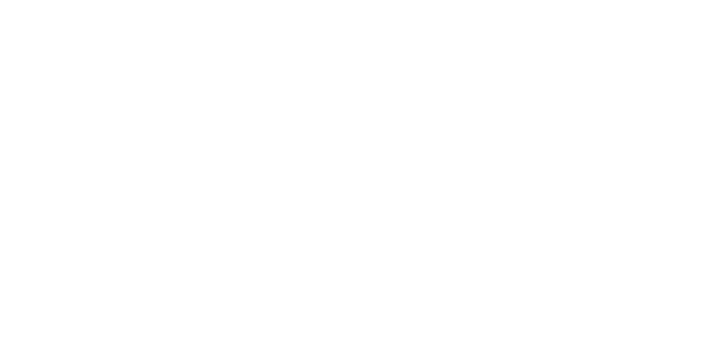 EVER Elettronica-white