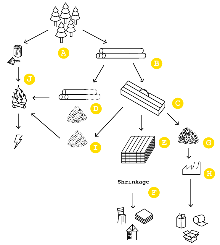 Screenshot 2025-07-16 111429